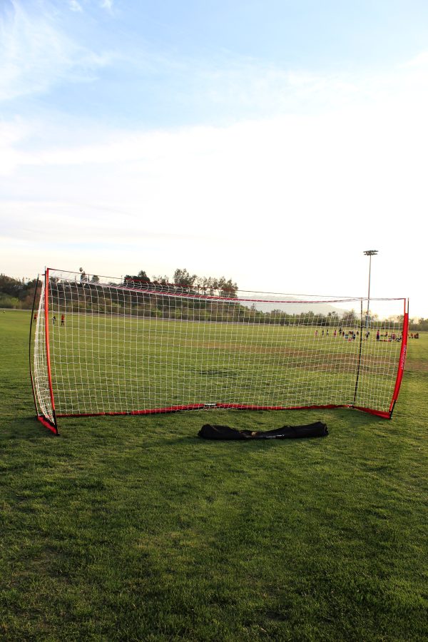 PowerNet Soccer Goal 18.5ft x 6.5ft Portable Bow Style Net + 1 Wheeled Carry Bag For Cheap