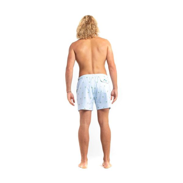 Palm Stripes - 5  Swim Trunks by Bermies Sale