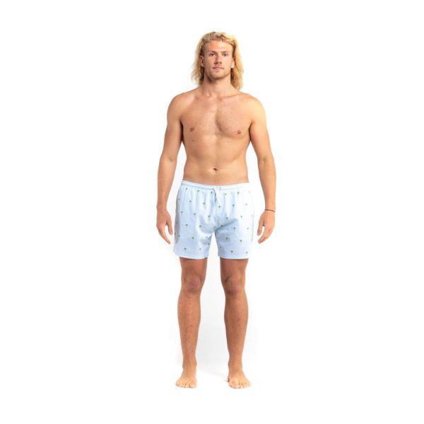 Palm Stripes - 5  Swim Trunks by Bermies Sale