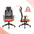 Ergonomic Office Chair with Lumbar Support and Adjustable Headrest-Black Online now