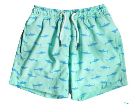 Great White - Kids Swim Trunks by Bermies Discount