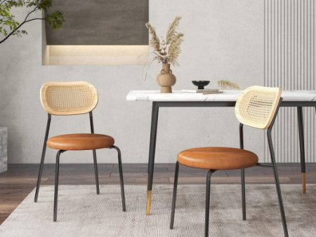 Set of 2 Rattan Dining Chair with Metal Legs-Coffee Discount