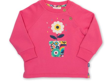 Kite Garden Grow Sweatshirt Online now