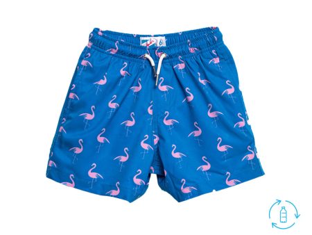 Crazy Flamingo by Bermies Fashion