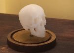 3D Printed Skulls Online Hot Sale