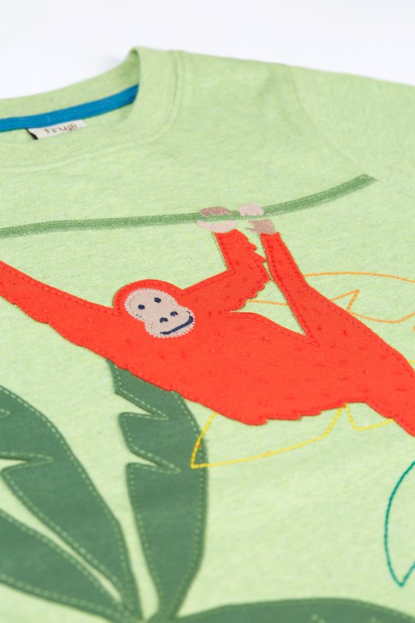 Frugi Carson Applique T- Shirt Kiwi Marl Orangutan Online now