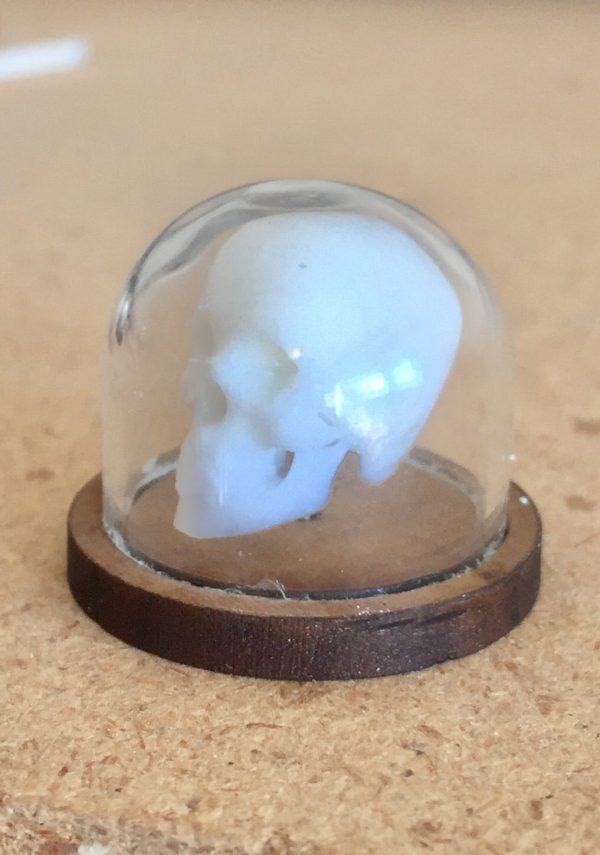 3D Printed Skulls Online Hot Sale