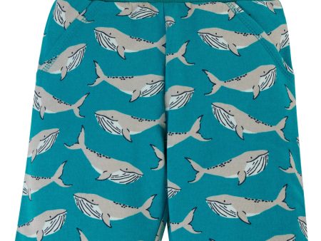 Frugi Switch Samson Printed Shorts Camper Whales Discount