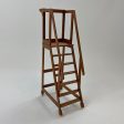 19th Century Library Ladder For Discount