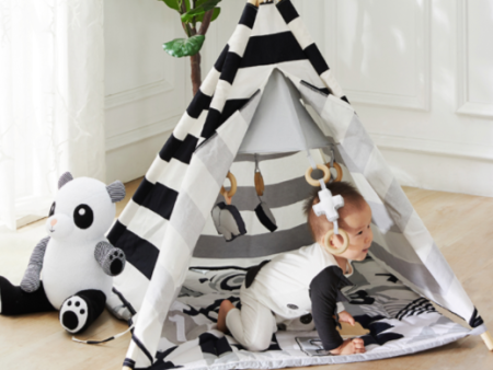 ABC Baby Activity Tent by Wonder and Wise Sale