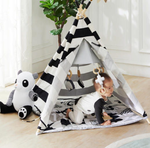 ABC Baby Activity Tent by Wonder and Wise Sale