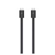 Apple Thunderbolt 4 pro cable Online now